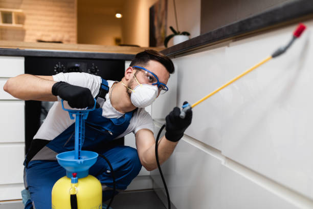 Best Affordable Pest Control Services  in Fayetteville, AL