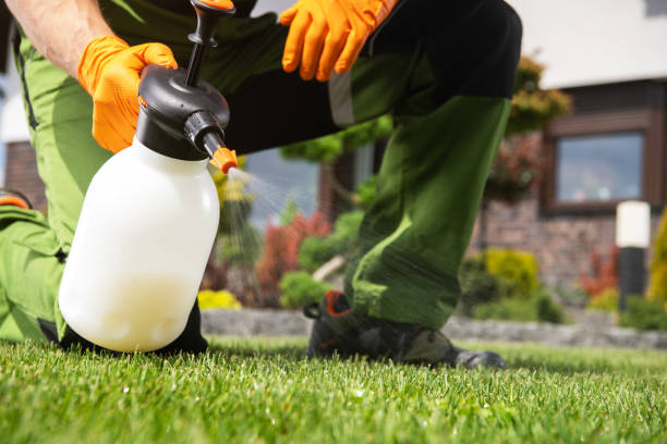 Best Pest Removal Services  in Fayetteville, AL