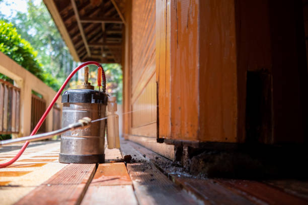 Best Local Pest Control Services  in Fayetteville, AL