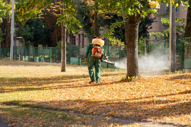 Best Best Pest Control Companies  in Fayetteville, AL