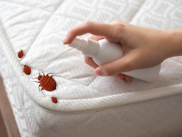 Best Affordable Pest Control Services  in Fayetteville, AL