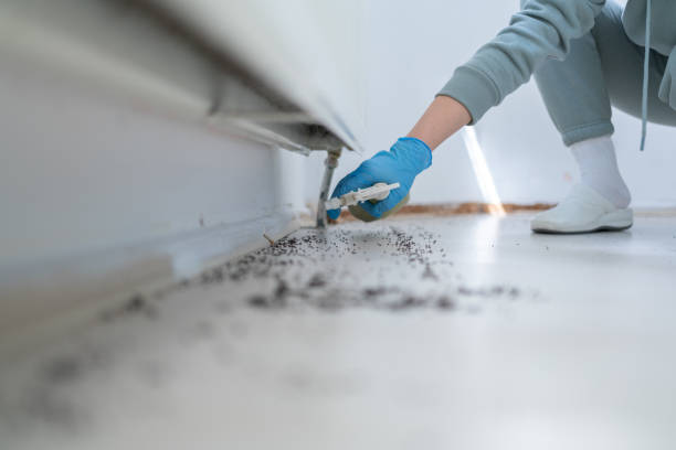 Best Pest Prevention Services  in Fayetteville, AL
